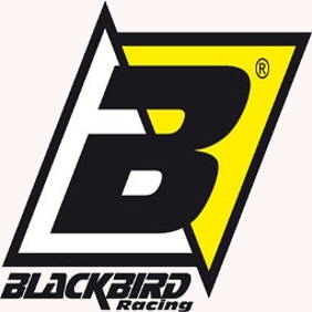 Samolepky na dyhu Blackbird Yamaha YZF 450 (10-13)