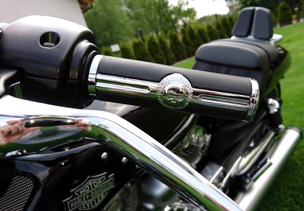 HARLEY DAVIDSON SPORTSTER XL SKULL 100% HD radenie