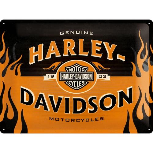 KOVOVÝ PLAGÁTOVÝ LIST 3D 30x40cm DARČEK HARLEY