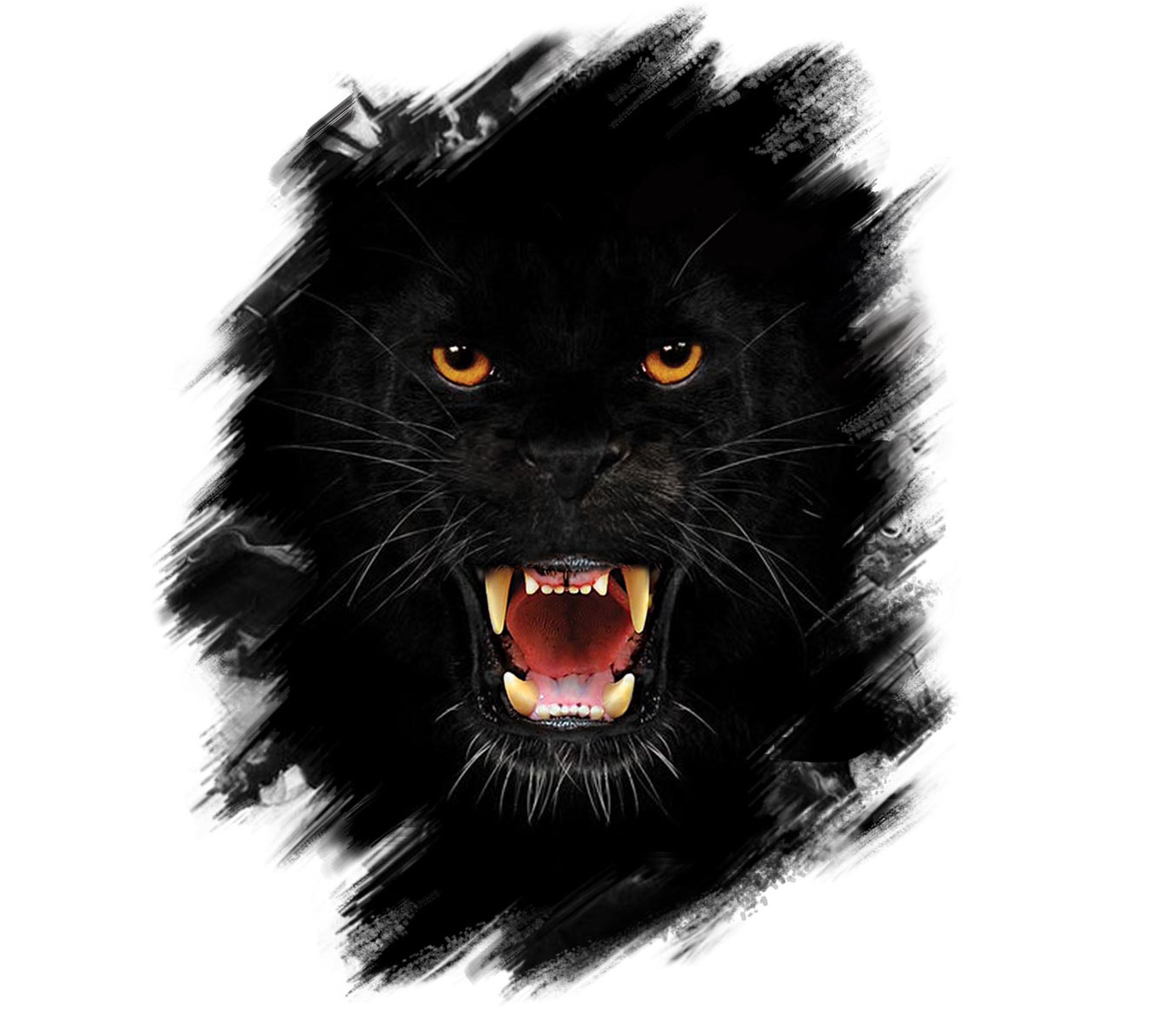 NÁLEPKA FOTOGRAFIA ČIERNY PANTER, VEĽKÝ PNEUMATIK