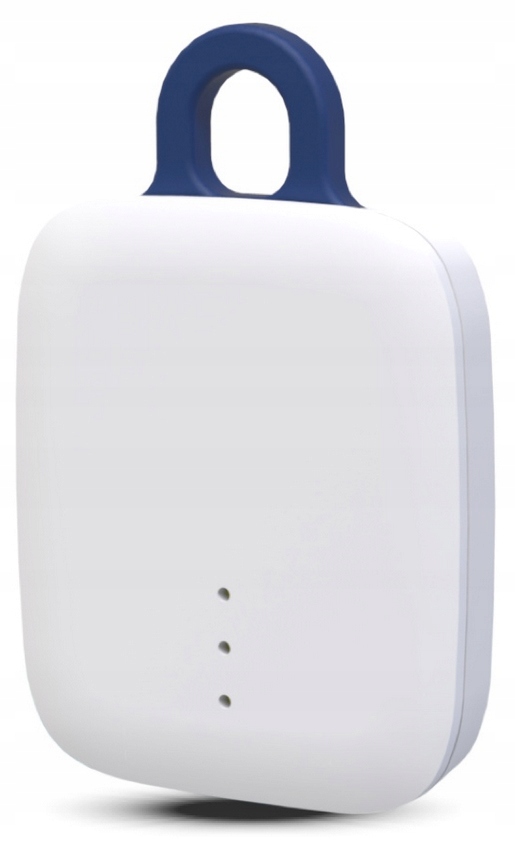 NOTIONE GO KEY LOCATOR DOG CAR BIKE