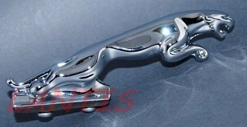 PANTERA ORNAMENT - VEĽKÝ JAGUAR