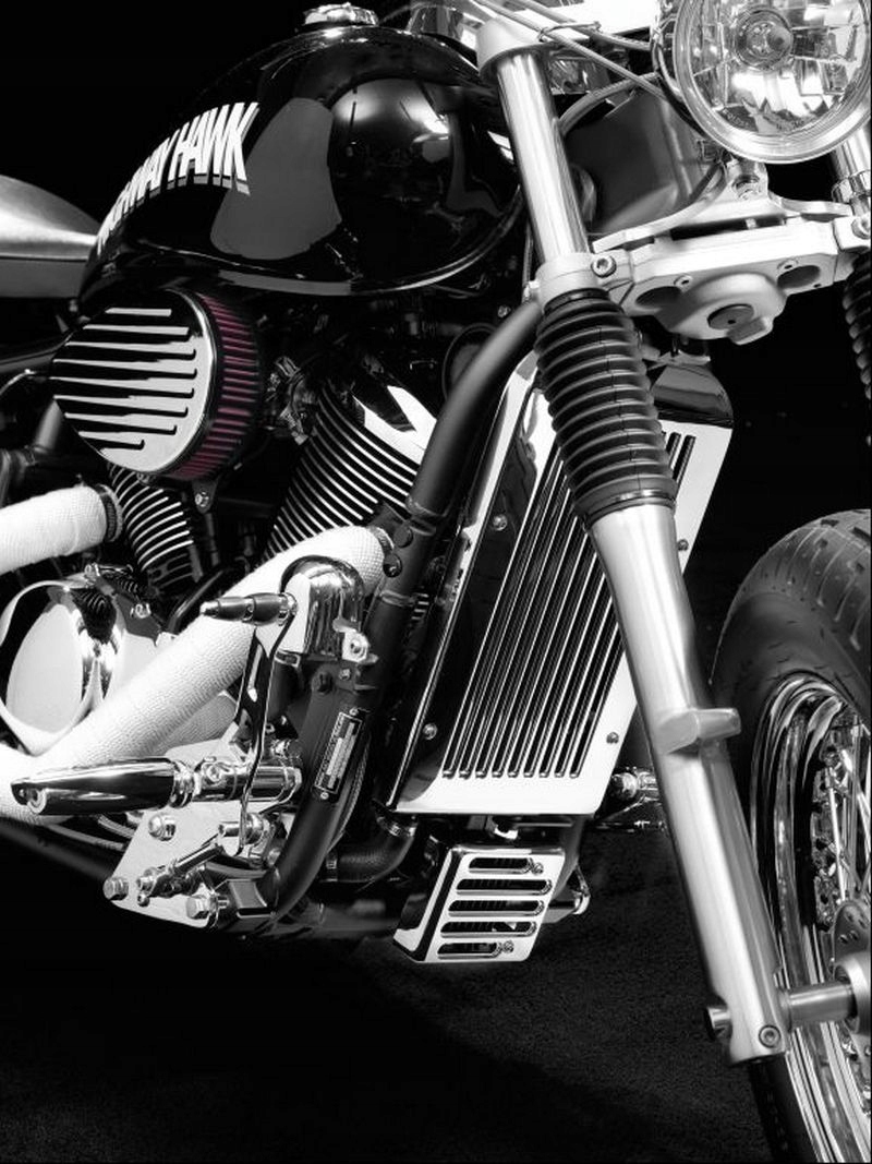 KRYT KRYTU CHLADIČA KAWASAKI VN 800 VULCAN