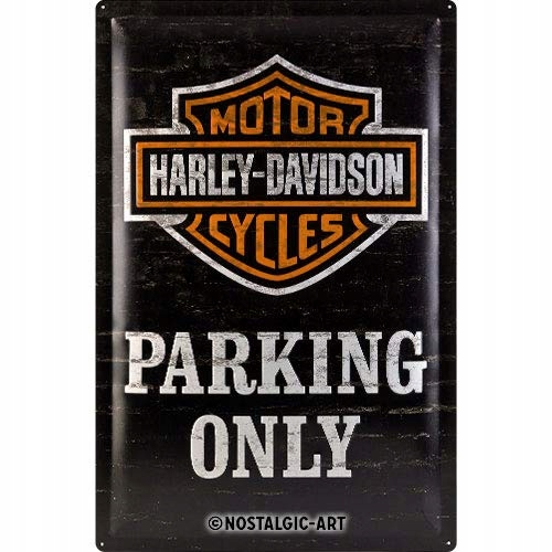 Kovová plagátová doska 40x60cm HD Parking